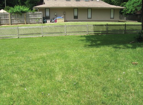 Property photo 3 - 3 Bedroom Ranch on Basement - Foster Park Area